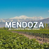 Vinedos de Mendoza